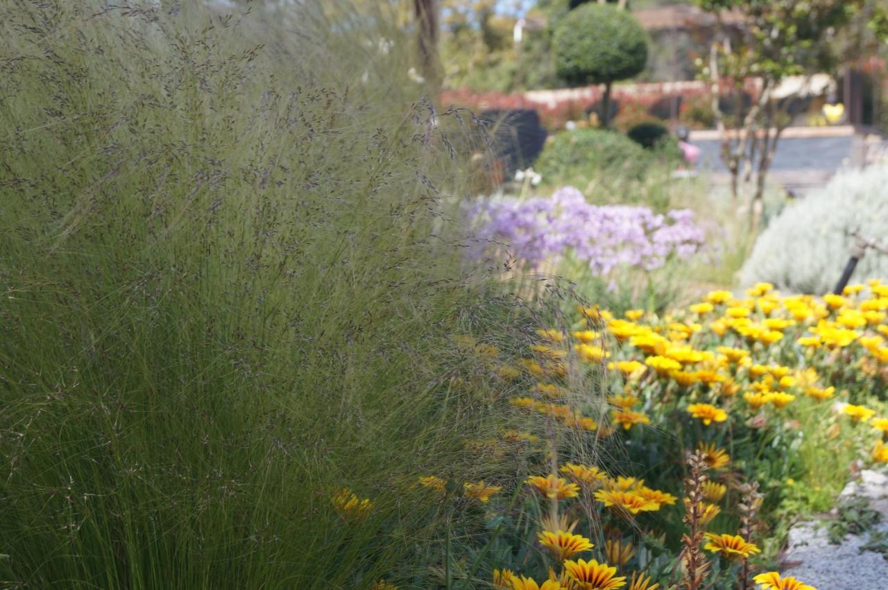 Les Jardins De Santa Giulia - Charmante Chambre D'Hote Порто-Веккіо Екстер'єр фото