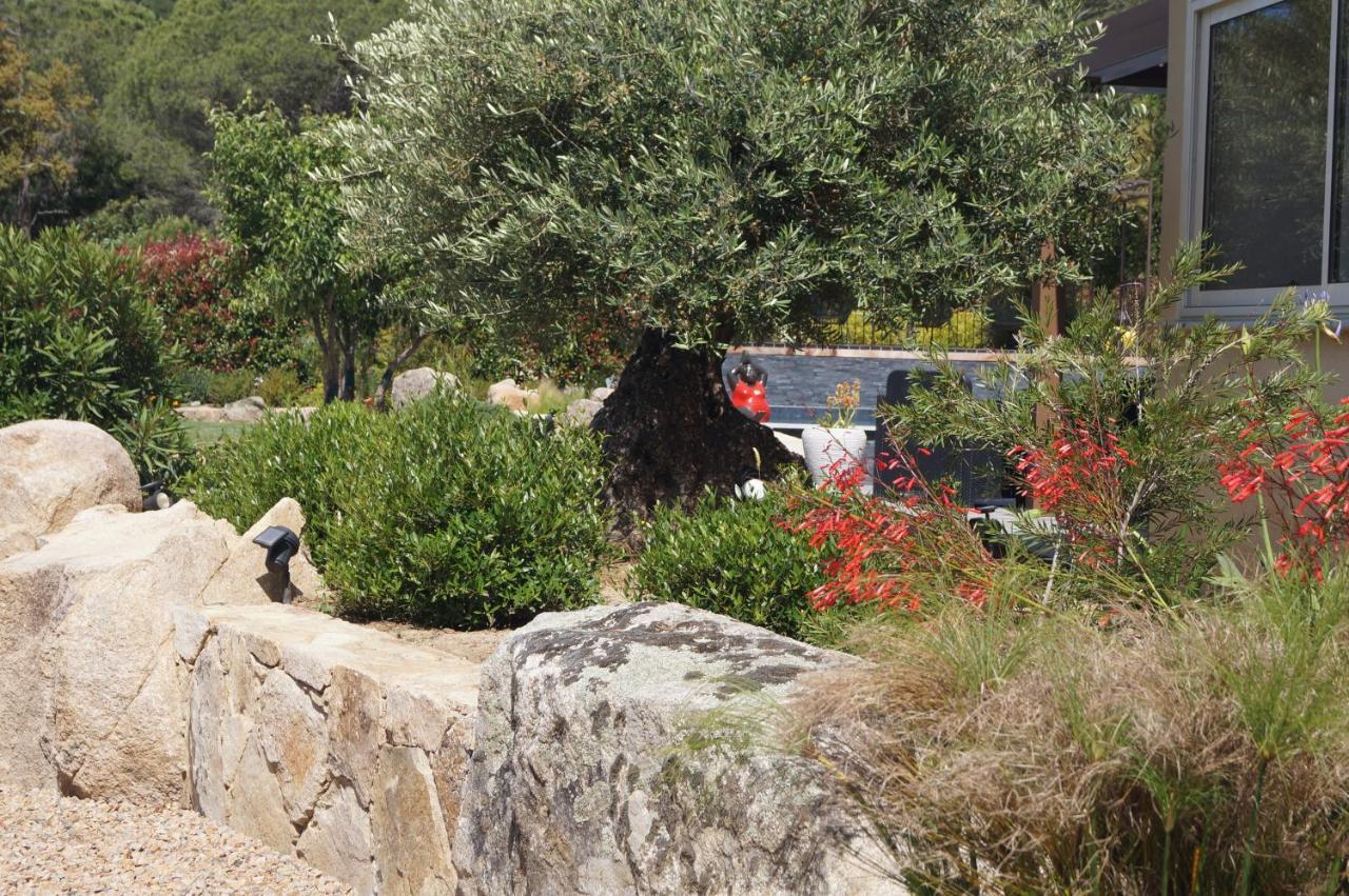 Les Jardins De Santa Giulia - Charmante Chambre D'Hote Порто-Веккіо Екстер'єр фото